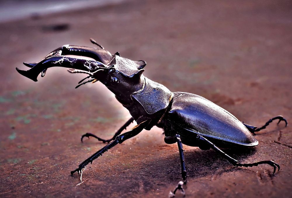 Photograph by Алексей Сиваков