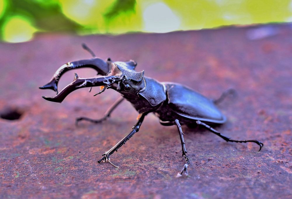 Photograph by Алексей Сиваков