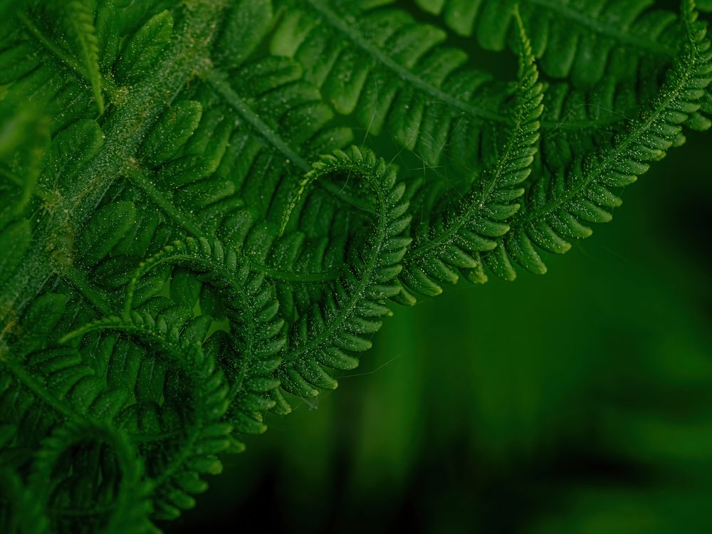 Photograph by Ксения Ершова