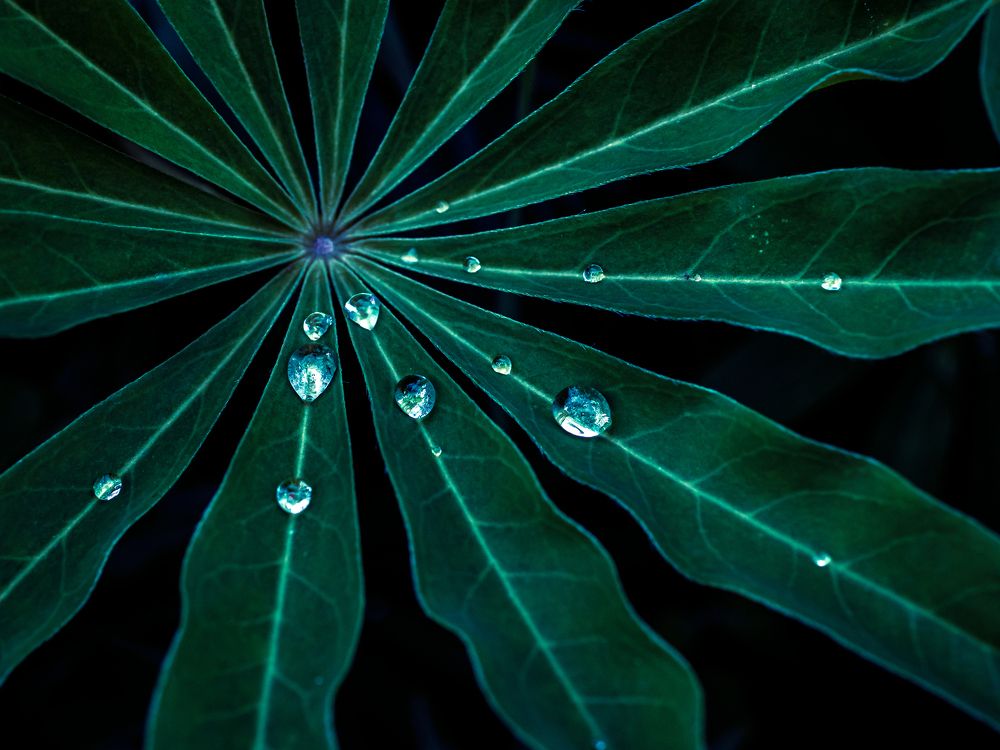 Photograph by Ксения Ершова