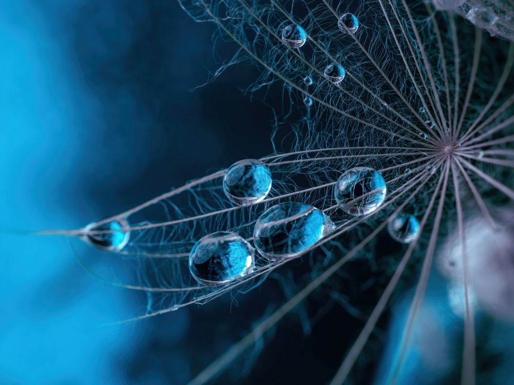 Photograph by Ксения Ершова