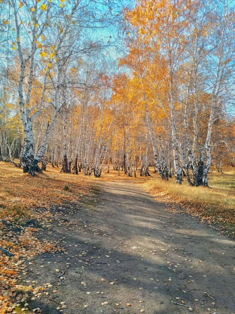 Photograph by Александра Королёва