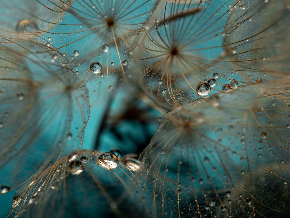 Photograph by Ксения Ершова