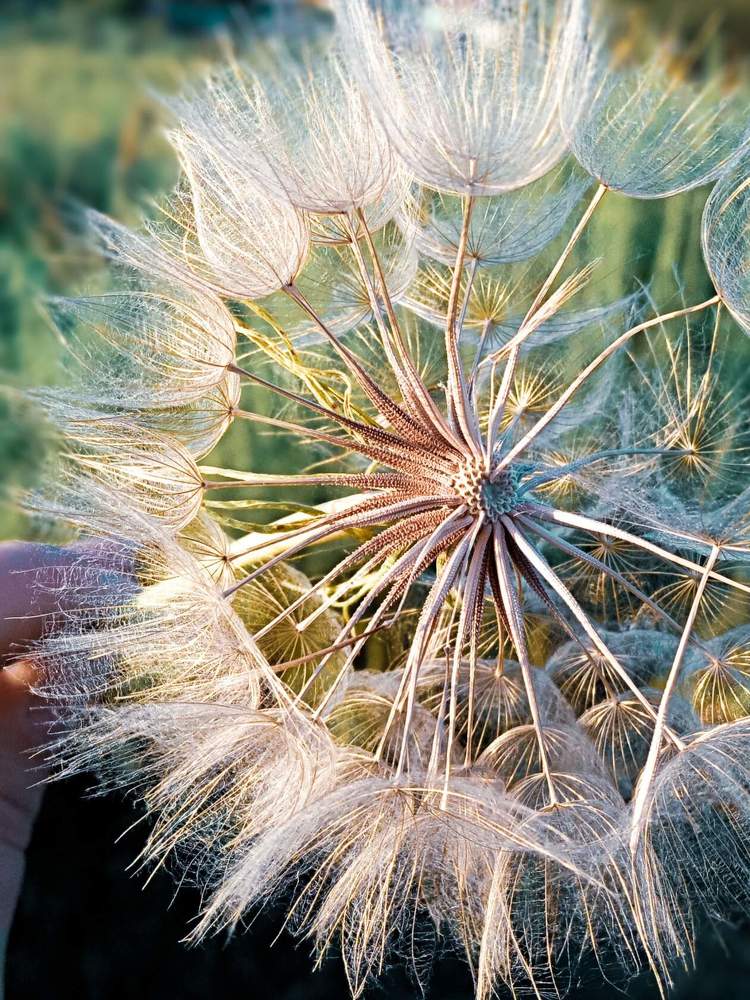 Photograph by Александра Королёва