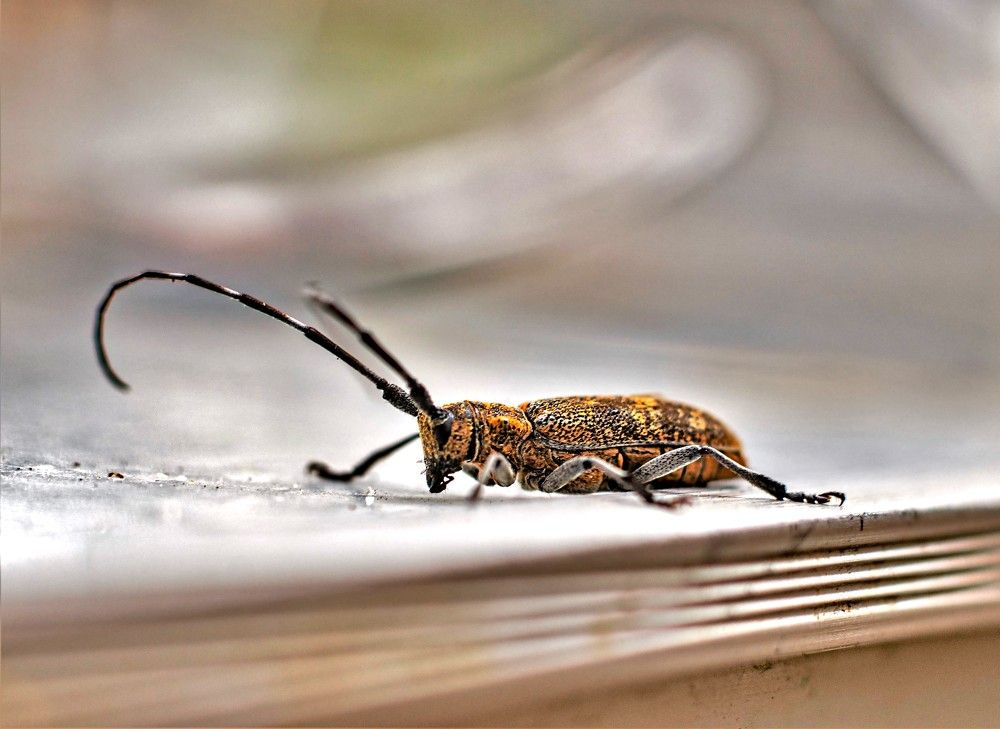 Photograph by Алексей Сиваков