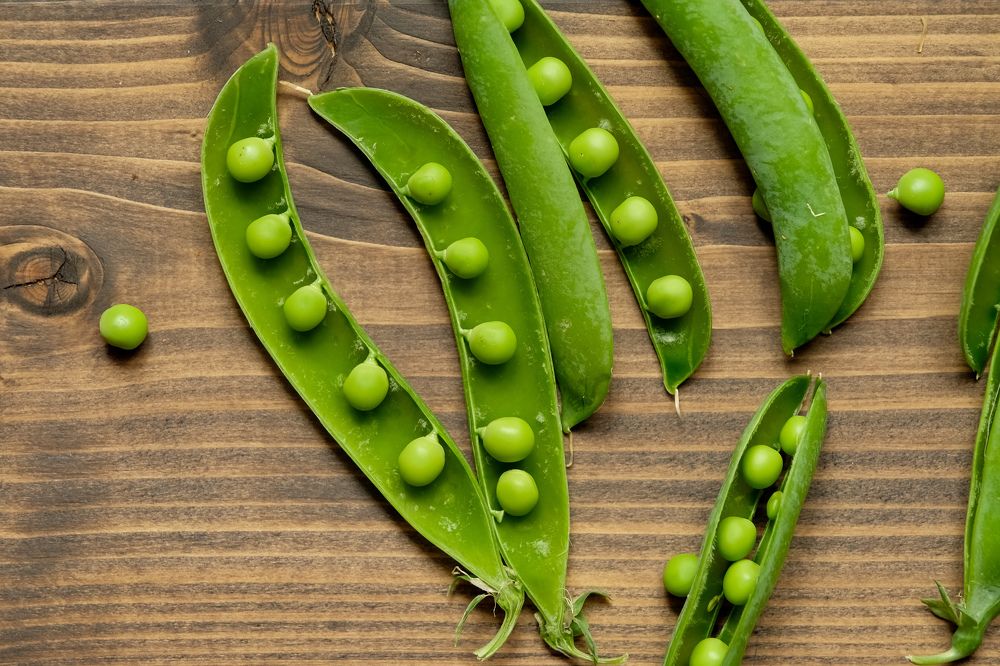 Photograph by Сергей Кравченко