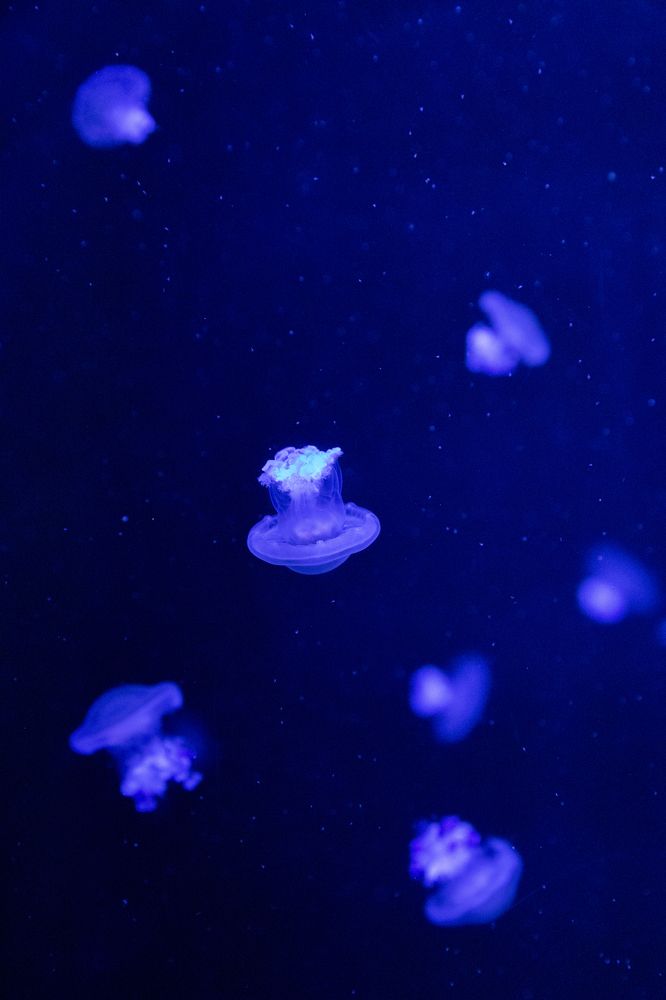 Photograph by Иван Соловьёв