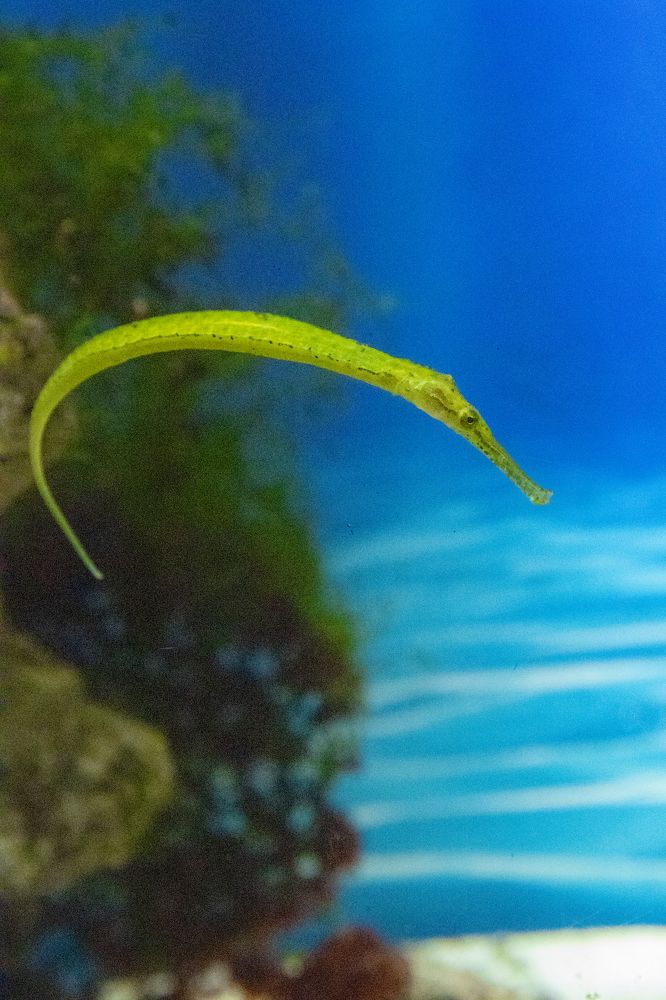 Photograph by Иван Соловьёв