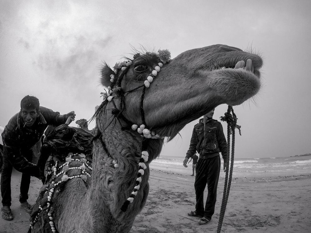 Photograph by Farshad Yazdankhah