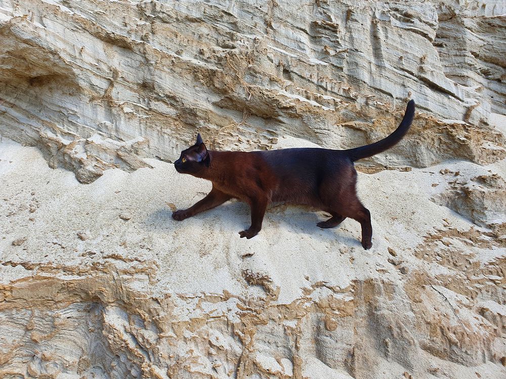 Фотография автора Надежда Лисицына
