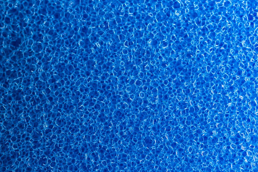 Photograph by Сергей Петренко