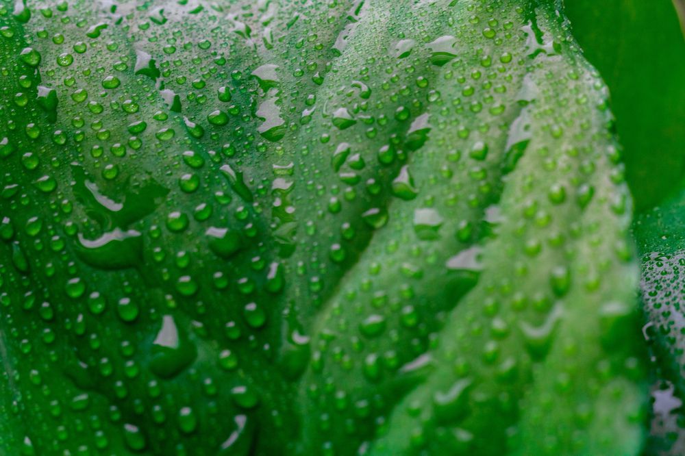 Photograph by Светлана Лебедева