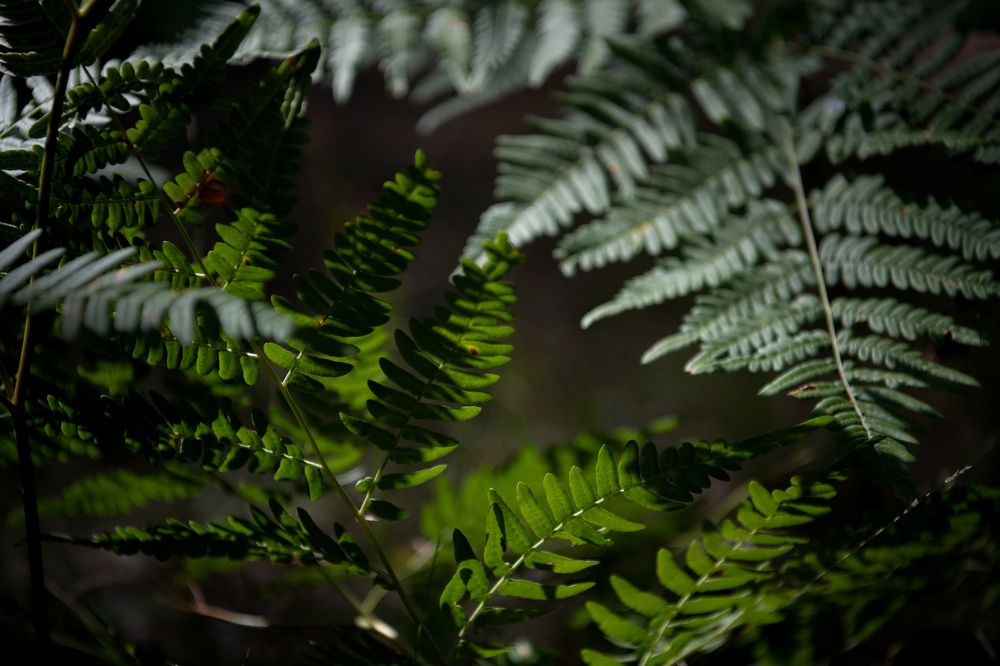 Photograph by Светлана Лебедева