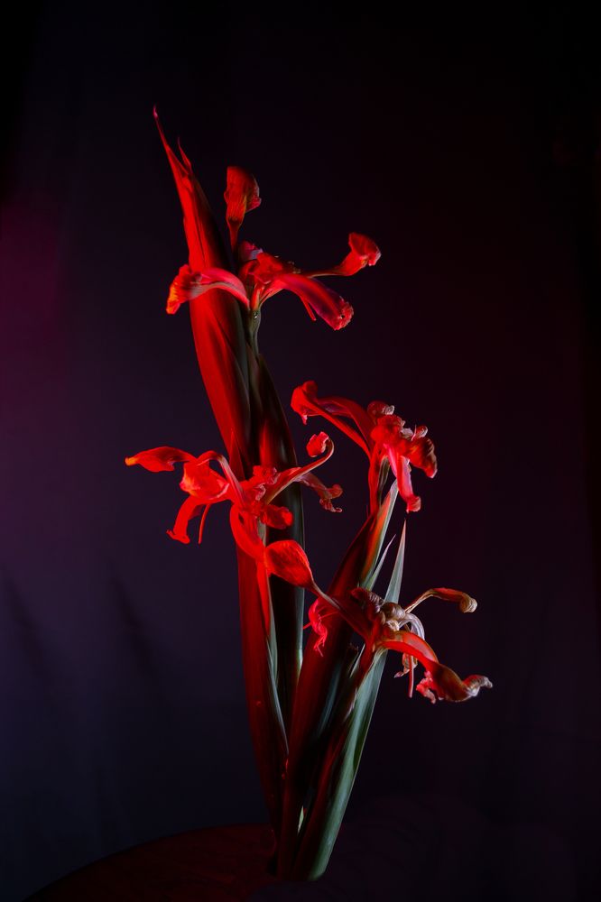 Photograph by Ольга Бакурская