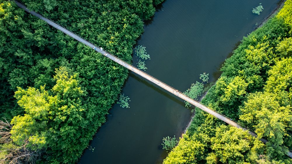 Photograph by Дамир Давронов