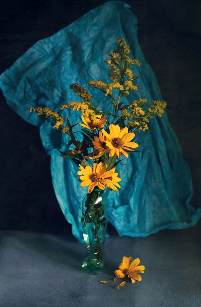 Фотография автора Вера Щербакова