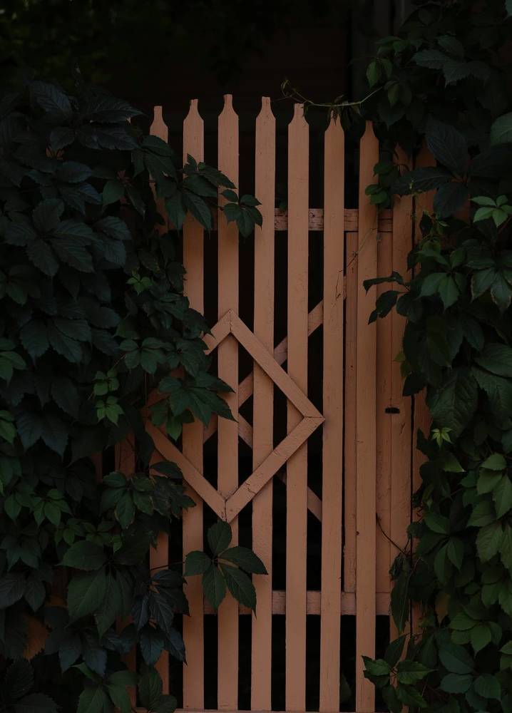 Photograph by Евгения Казакова