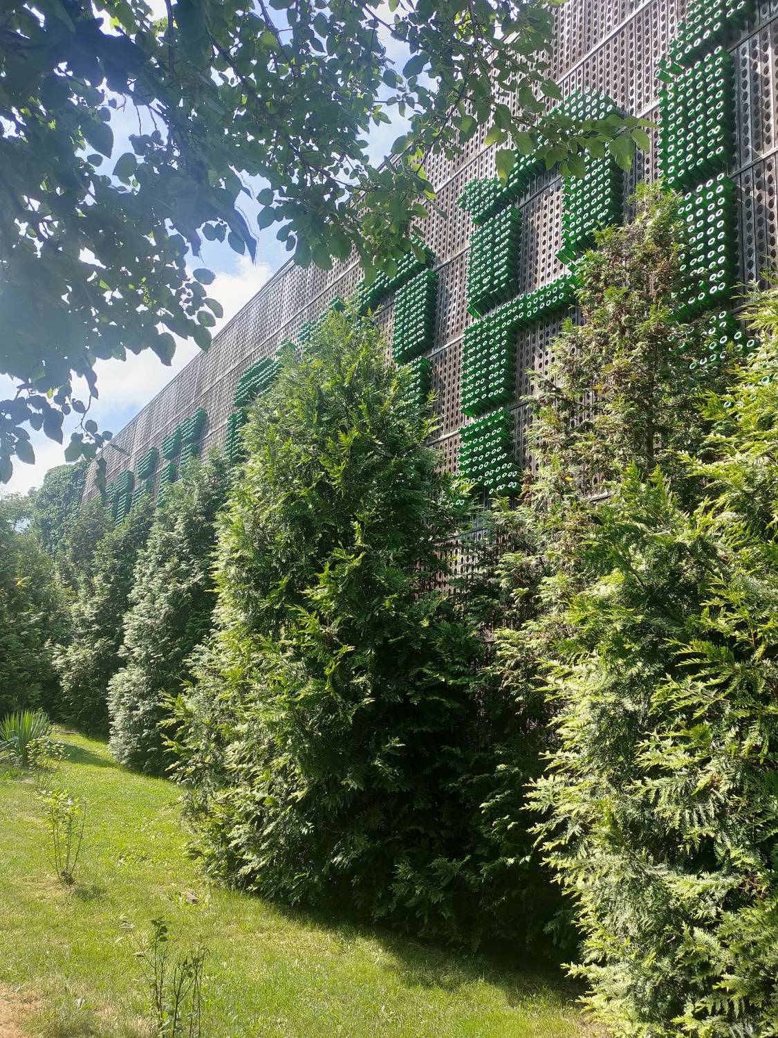 Photo #8035923