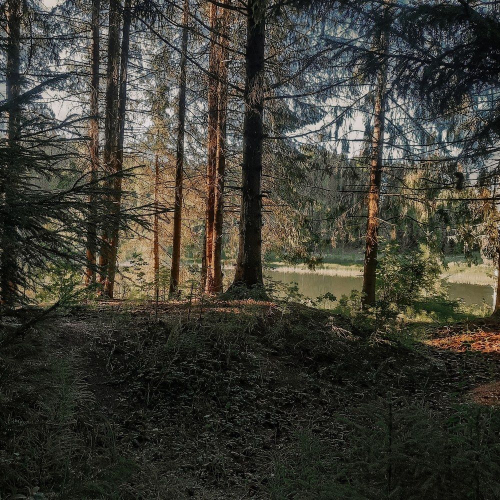 Photograph by Ольга