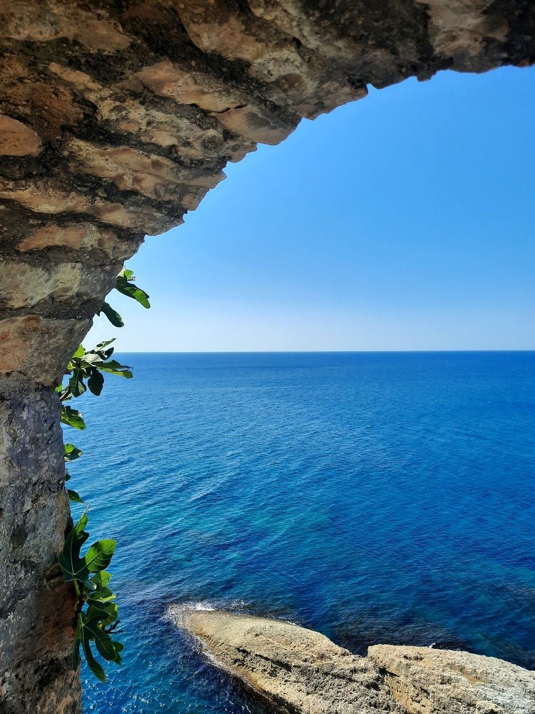 Photograph by Jelena Vasic