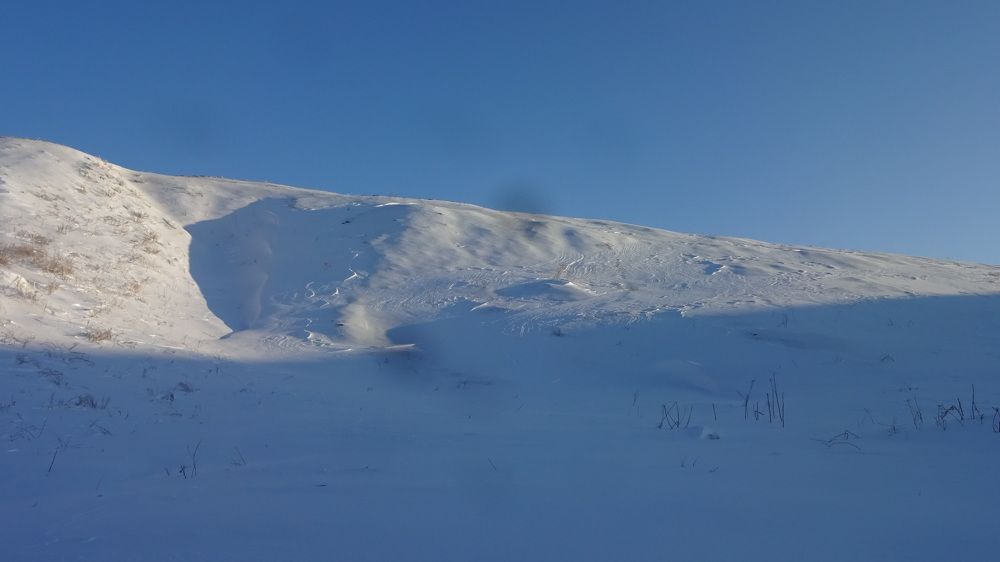 Photograph by Елена Мясникова