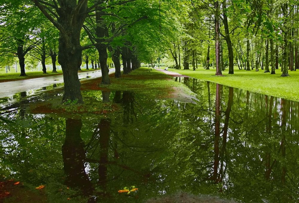 Photograph by Лидия Ушакова