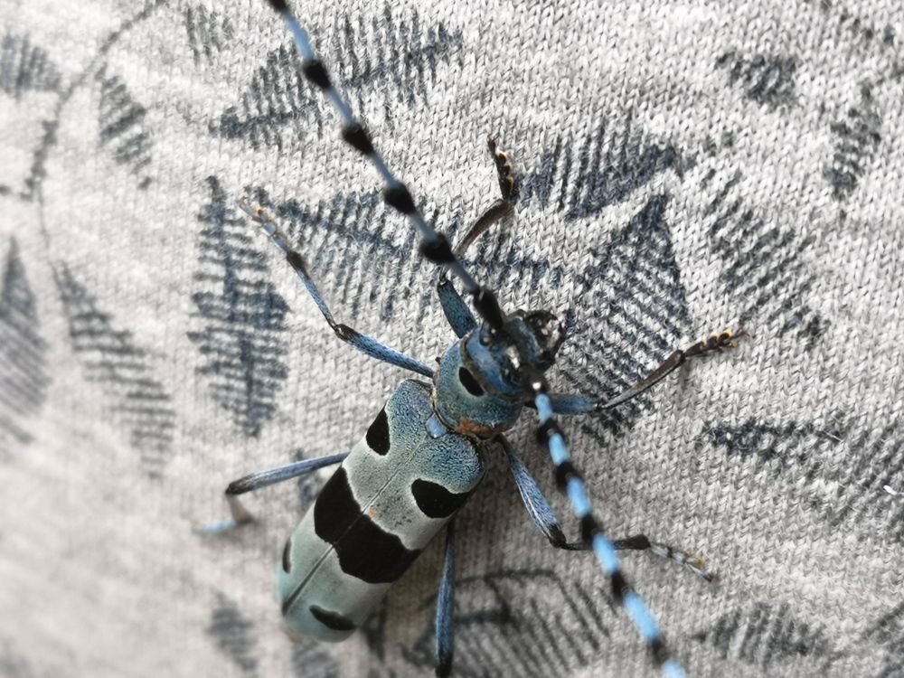 Photograph by Marina Razheva