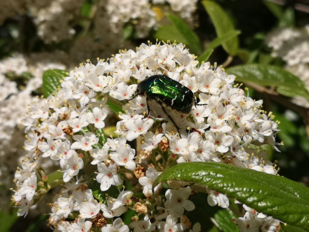 Photograph by Marina Razheva