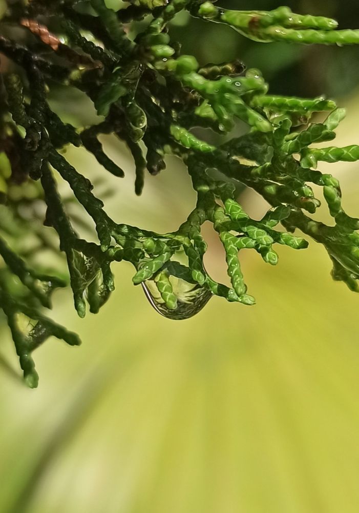 Photograph by Тихонова Ольга