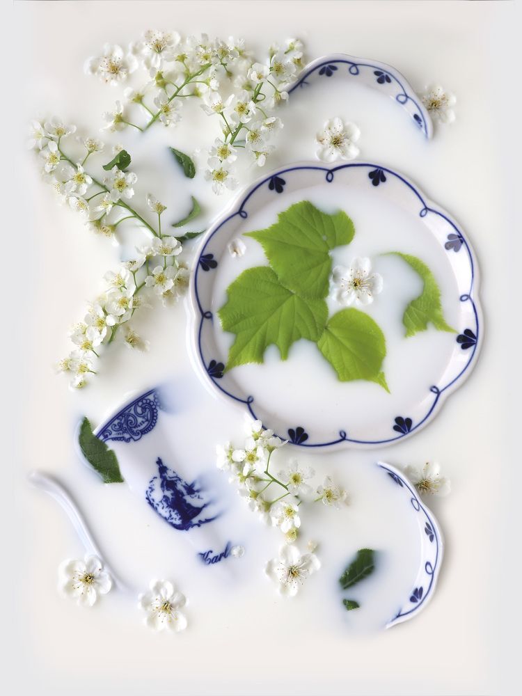 Photograph by Елена Тимченко