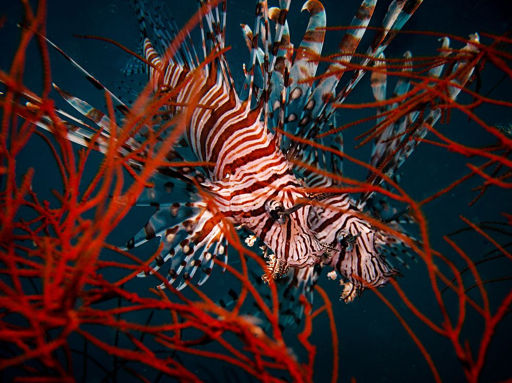 Photograph by Юрий Журавлев