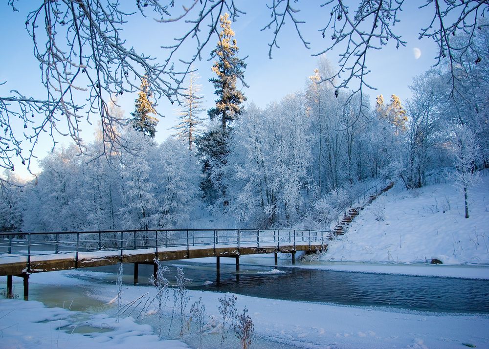 Photograph by Илья Савицкий