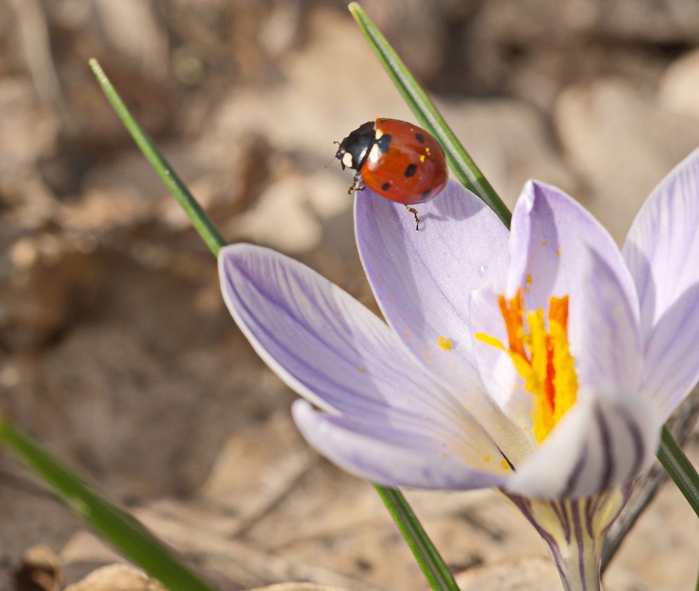 Photograph by Александр