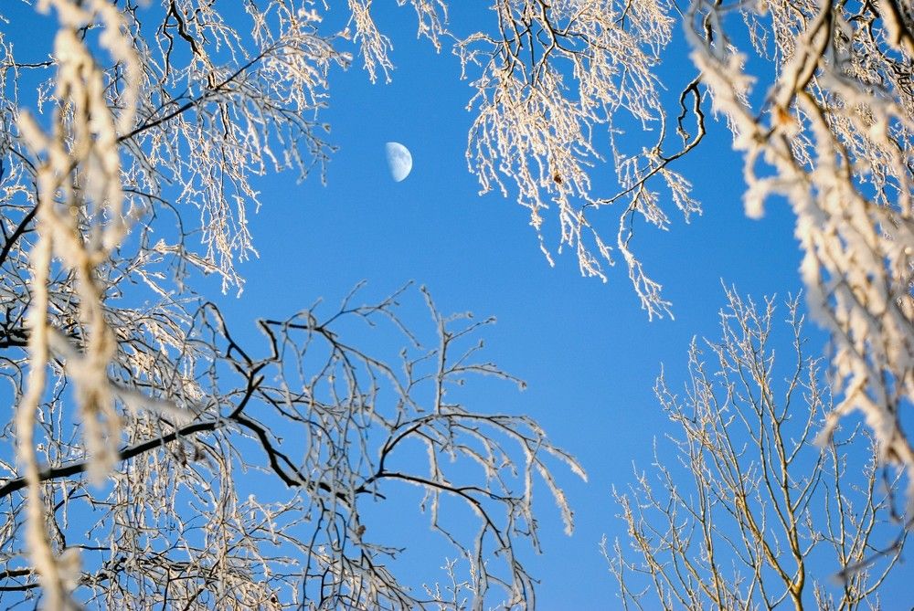 Photograph by Илья Савицкий