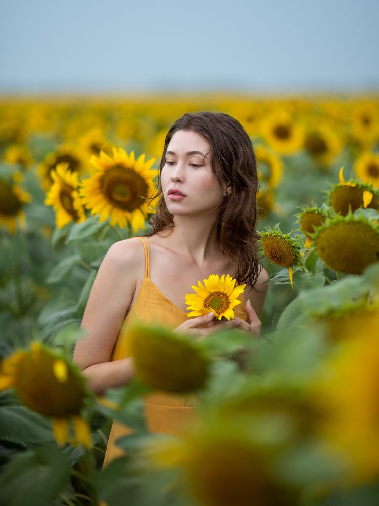 Мокрое солнце