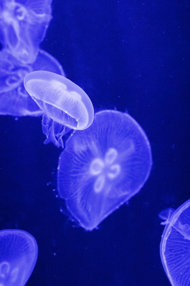 Photograph by Иван Соловьёв