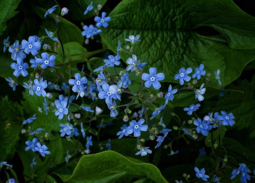 Photograph by Ирина Шилина