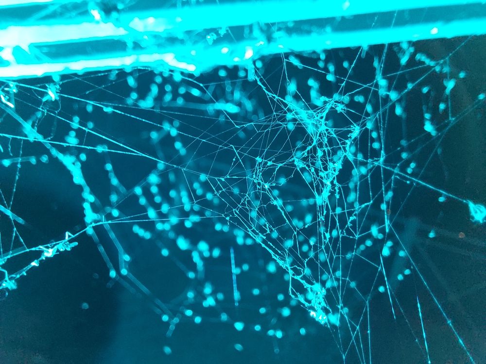 Photograph by Наталия Степовая