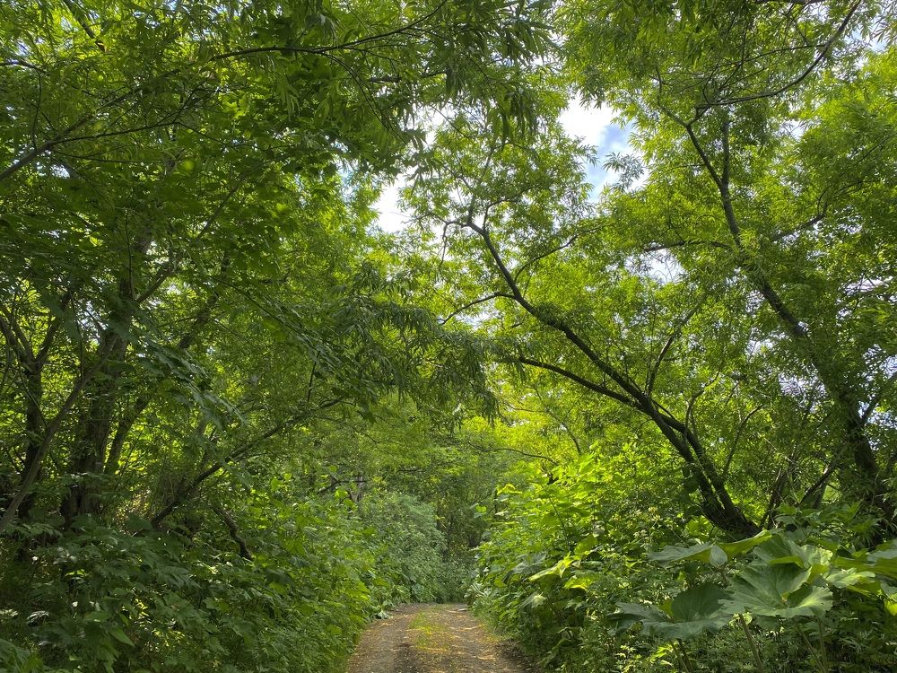 Photograph by Данил Петухов