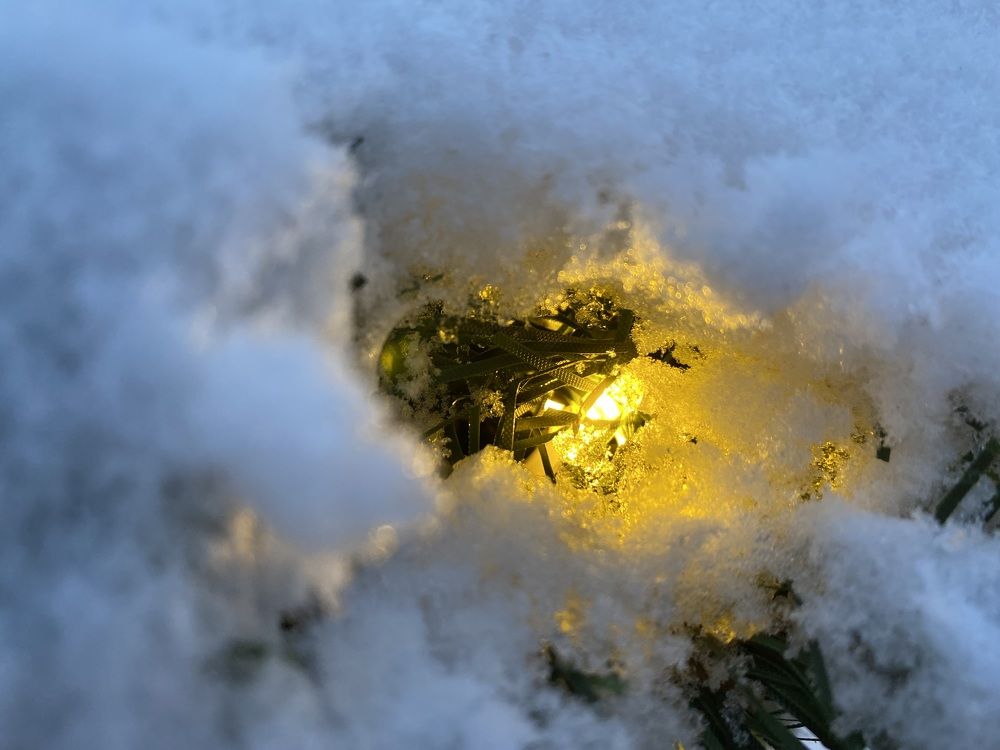 Photograph by Данил Петухов