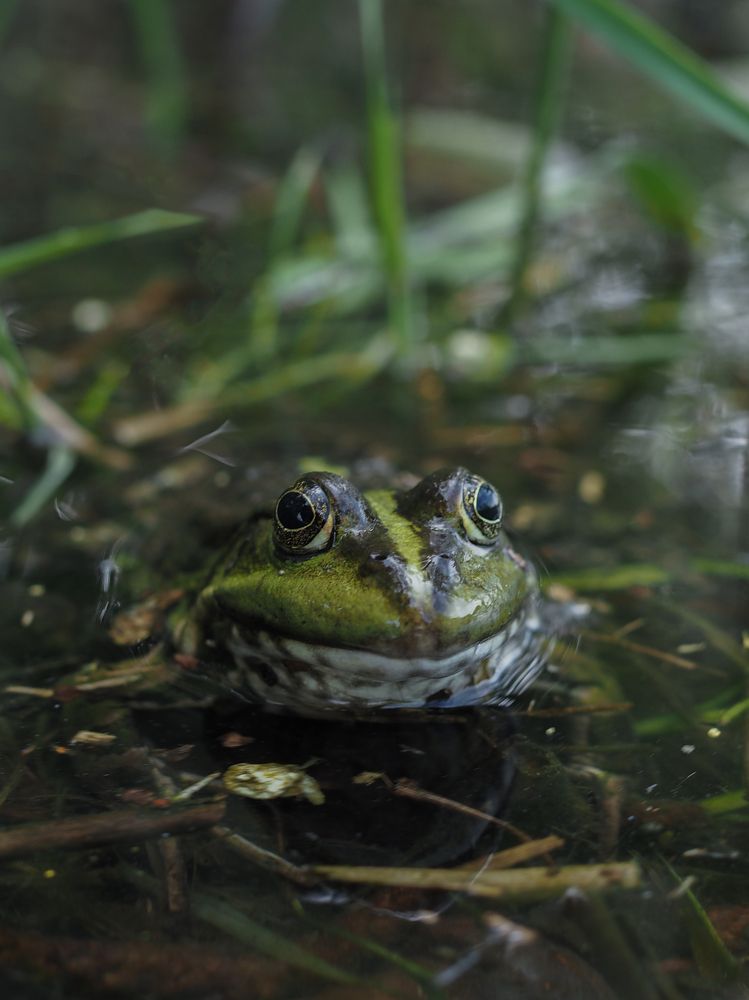 Photograph by Екатерина Бердутина