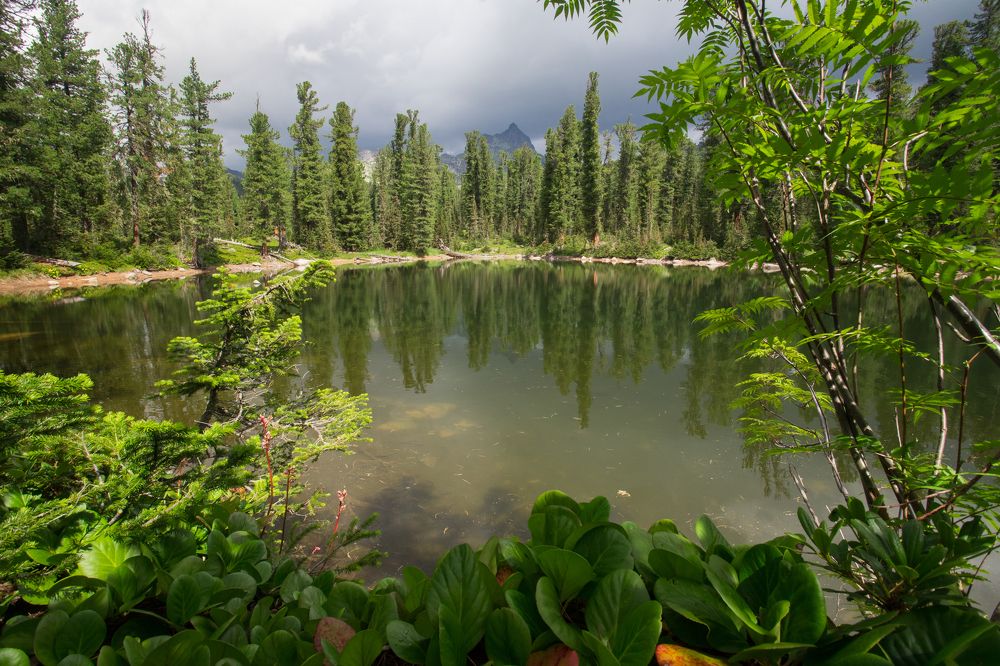 Photograph by Константин Искучеков