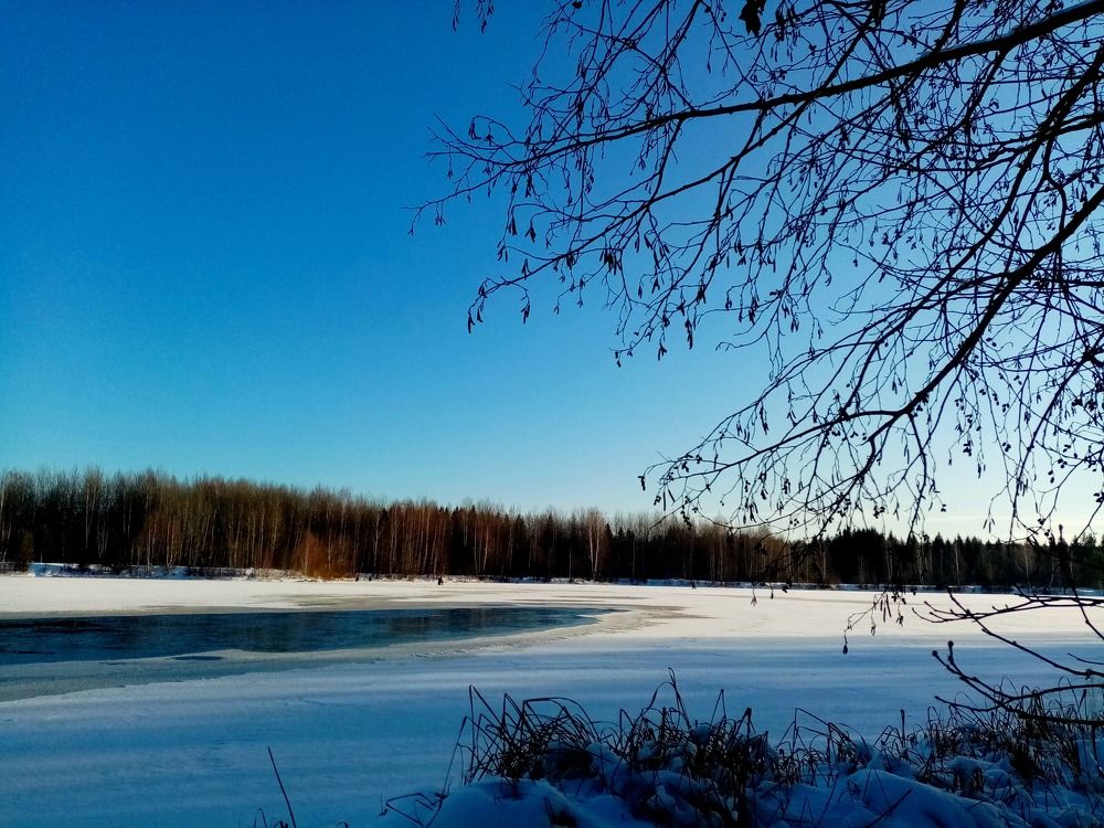 Photograph by Ирина Анкушина
