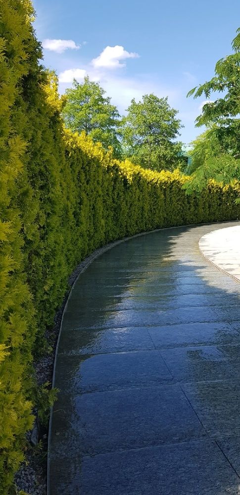 Фотография автора Ольга Мусина