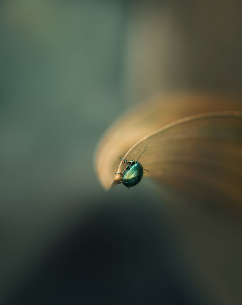 Photograph by Мозжухин Максим