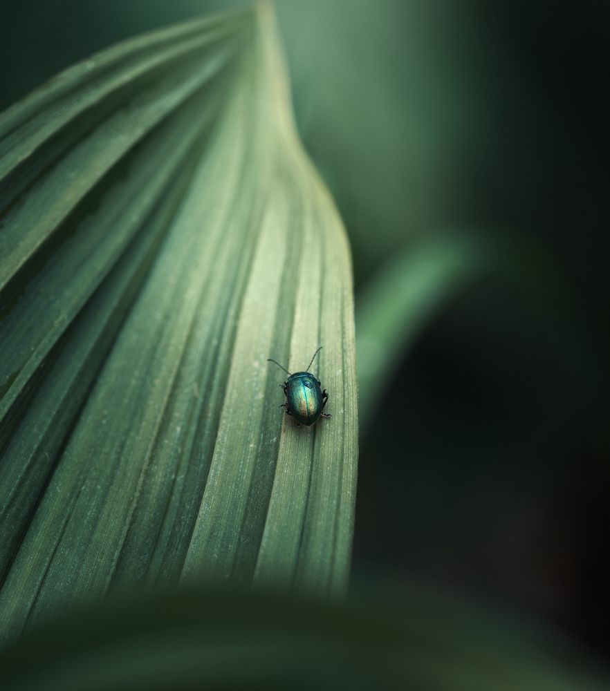 Photograph by Мозжухин Максим