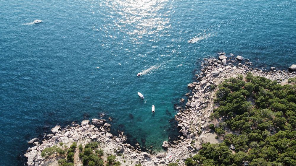 Photograph by Оксана Дмитриева