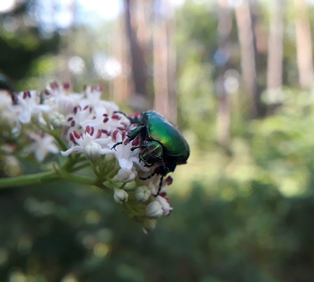 Photograph by Кристина Шляхова