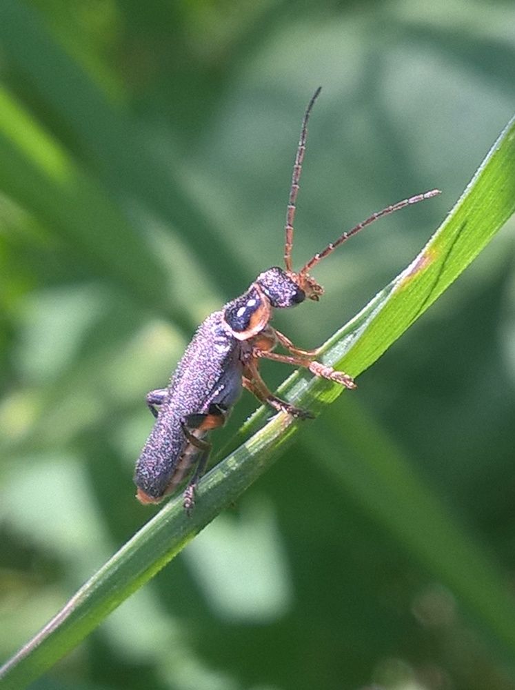 Photograph by Олеся Купча