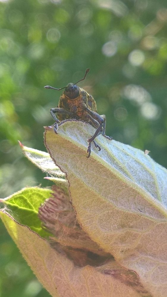 Photograph by Олеся Купча